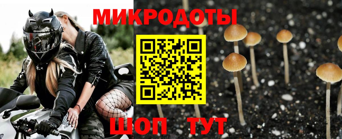 Волжский  Псилоцибиновые грибы Magic Shrooms  наркотики  Вход с VPN 
