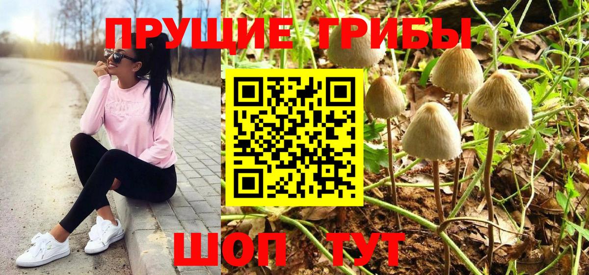 Псилоцибиновые грибы Psilocybe Волжский